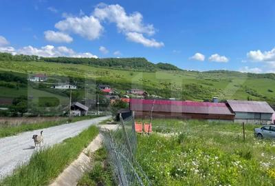 Teren de 1917 mp, în Central - 6