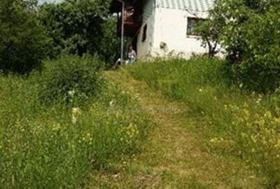 Teren de 5000 mp, în Drajna - 6