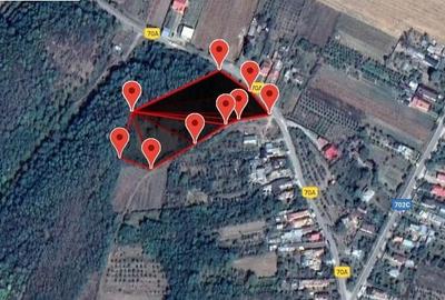 Teren Construcții extravilan de 9975 mp, în Budișteni - 2