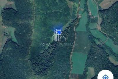 Teren agricol extravilan de 20 mp, în Daneș - 3