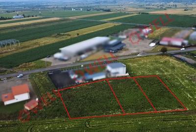 Teren Construcții intravilan de 899 mp, în Chilieni - 2