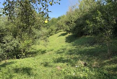 Teren de 4128 mp, în Ocoliș