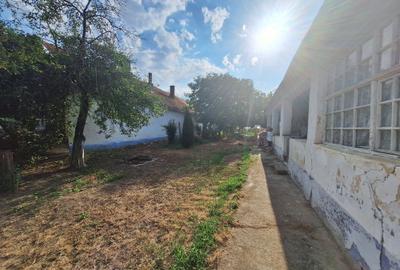 Casă cu 3 camere în Cenaloș