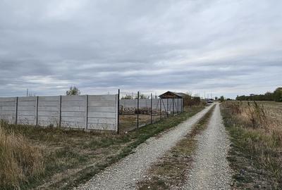 Teren Construcții intravilan de 647 mp, în Snagov - 1