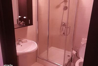 Apartament cu 2 camere decomandat în Ferdinand - 10