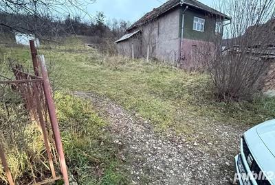 Teren de 1000 mp, în Cornești - 3