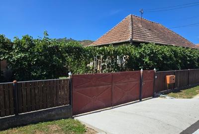 Casă cu 3 camere cu Teren 1400 Mp în Albești