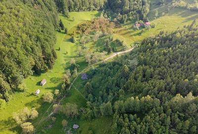 Teren agricol extravilan de 38704 mp, în Șirnea - 7