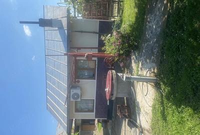 Casă cu Teren 1500 Mp în Ghirdoveni - 3