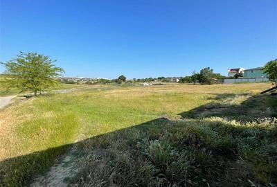 Teren Construcții intravilan de 1500 mp, în Exterior Sud - 9