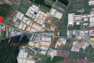 Teren Construcții intravilan de 14000 mp, în Dragomirești-Vale - 2