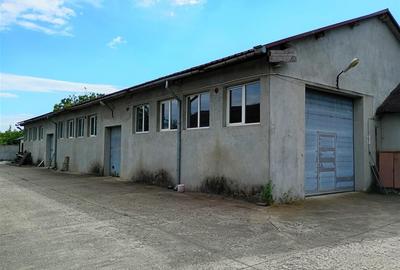 Spațiu industrial, de 900 mp, în Tileagd - 18