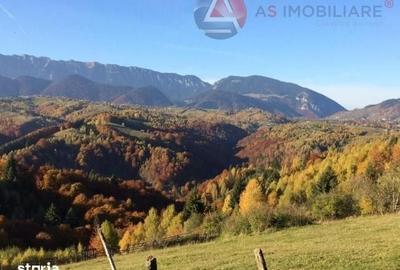 Teren de 10669 mp, în Moieciu - 1