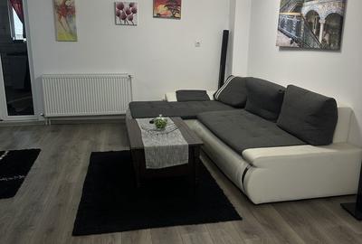 Casă cu 10 camere cu Teren 1000 Mp în Roșia - 16