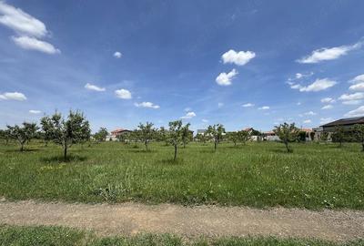 Teren de 1864 mp, în Dumbrăvița