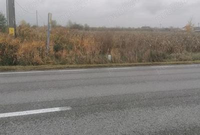 Teren de 3700 mp, în Săcueni - 1