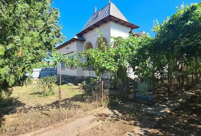 Casă cu 7 camere cu Teren 2424 Mp în Coteana - 4