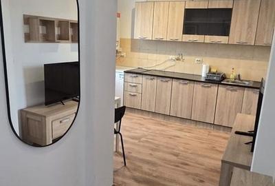 Apartament cu 2 camere decomandat, mobilat în Iosefin - 6