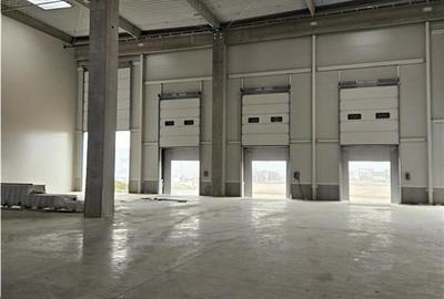 Spațiu industrial, de 5,300 mp, în Vest - 19