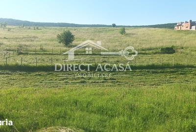 Teren de 653 mp, în Sântana de Mureș - 1