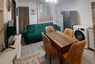 Apartament cu 3 camere decomandat, mobilat în Teiul Doamnei - 2