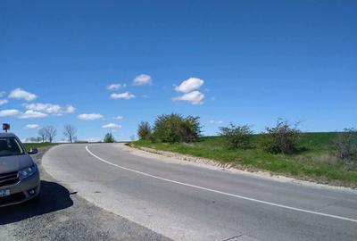 Teren de 17800 mp, în Mischii - 3