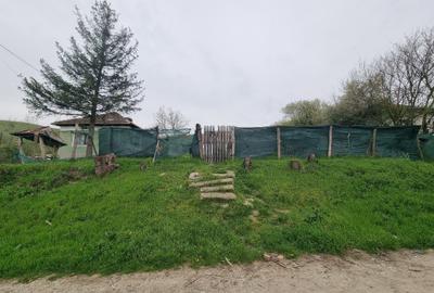 Casă cu 2 camere în Goiești