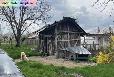 Casă individuală cu 4 camere cu Canalizare în Cocorăștii Colț - 3
