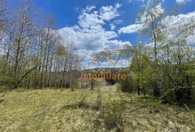 Teren de 103000 mp, în Bălnaca - 1