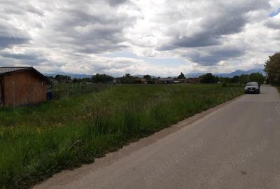 Teren de 2325 mp, în Tărlungeni