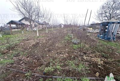 Teren Construcții intravilan de 963 mp, în Moara Vlăsiei - 5