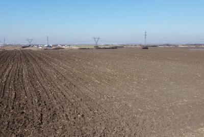 Teren Construcții intravilan de 4900 mp, în Nord - 2