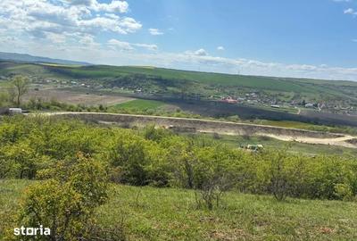 Teren de 45000 mp, în Dăbâca