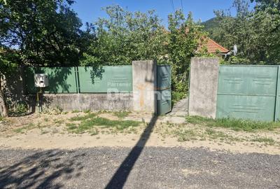 Casă individuală cu 3 camere cu Canalizare în Pianu de Sus - 5