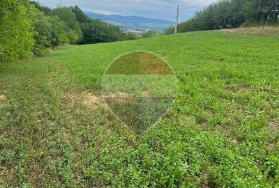 Teren de 5600 mp, în Copalnic