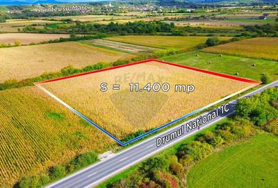 Teren Construcții intravilan de 5700 mp, în Finteușu Mare - 2