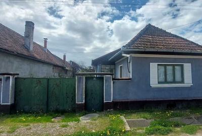 Casă cu 2 camere în Central - 1