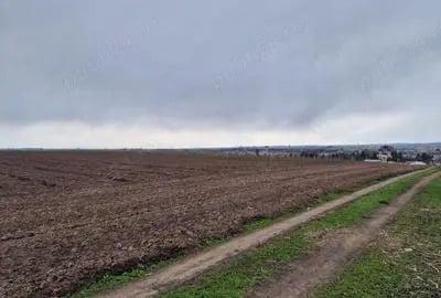 Teren de 40000 mp, în Grădiștea - 1
