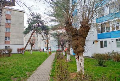 Apartament cu 3 camere decomandat în Central - 3
