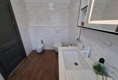 Casă cu Teren 300 Mp în Craiovei