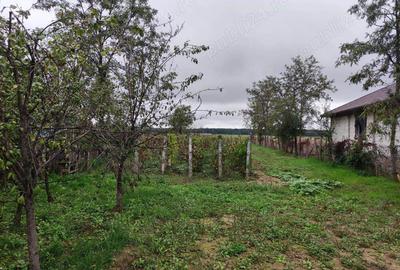 Teren de 3384 mp, în Periș - 6
