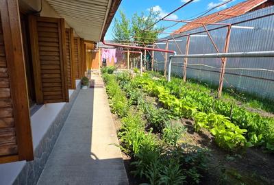 Casă individuală cu 4 camere cu Canalizare în Bogdan Vodă - 3