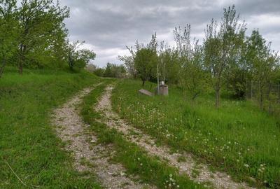Casă cu 3 camere în Drajna - 10