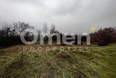 Teren Construcții intravilan de 3000 mp, în Mocira - 3