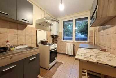 Apartament cu 2 camere decomandat, mobilat în Teiul Doamnei - 6