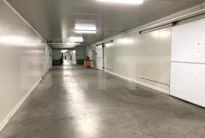 Spațiu comercial, de 6,200 mp, în Seleuș - 6