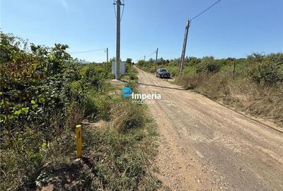 Teren Construcții extravilan de 1000 mp, în Șorogari - 4