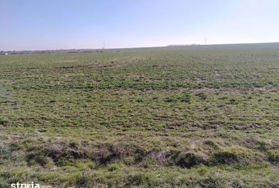 Teren de 988 mp, în Cârcea