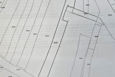 Teren Construcții intravilan de 4367 mp, în Hidișelu de Sus - 7