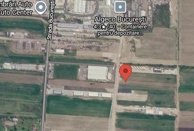Teren de 4000 mp, în Sud